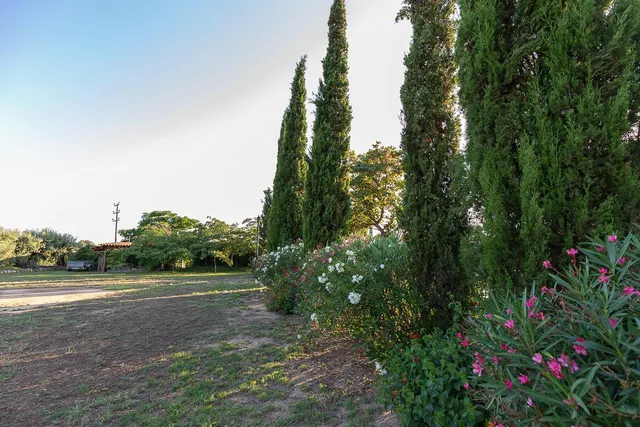Vive en el campo con todas las comodidades de la ciudad — 38