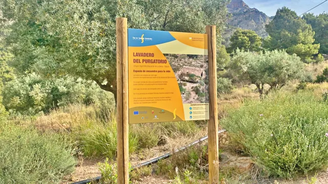 FINCA DE 6 Hectáreas con CASA CORTIJO para reformar — 16