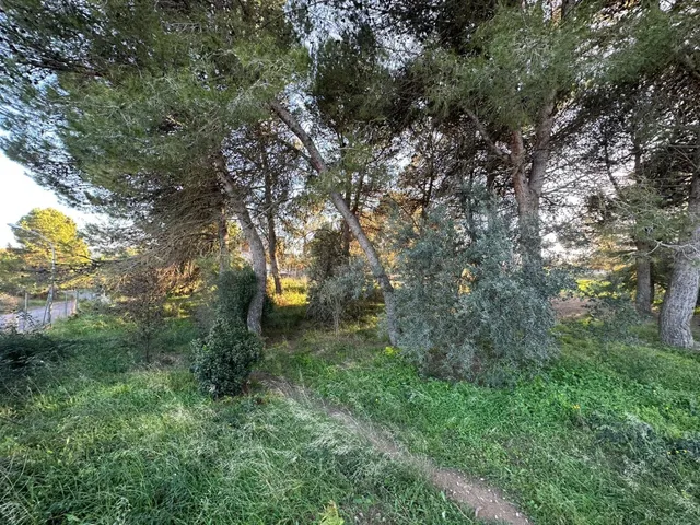 VENTA TERRENO EN IGUALADA ZONA SES OLIVERES 795m2 Y VISTAS!! - foto 2