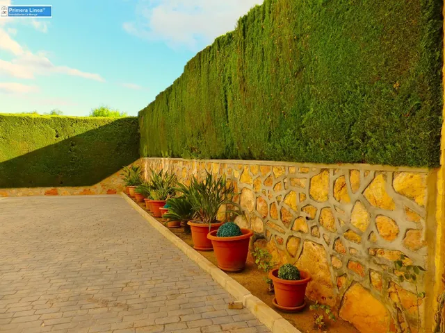 Venta de villa de lujo en La Manga Club — 5