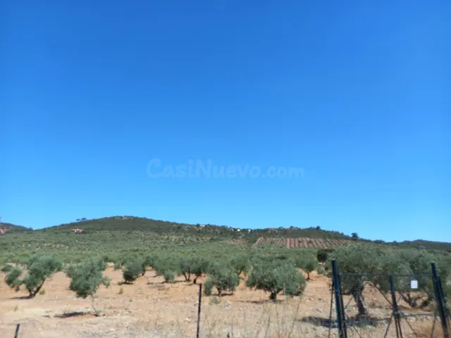Finca de Olivos en la Montaña - foto 5