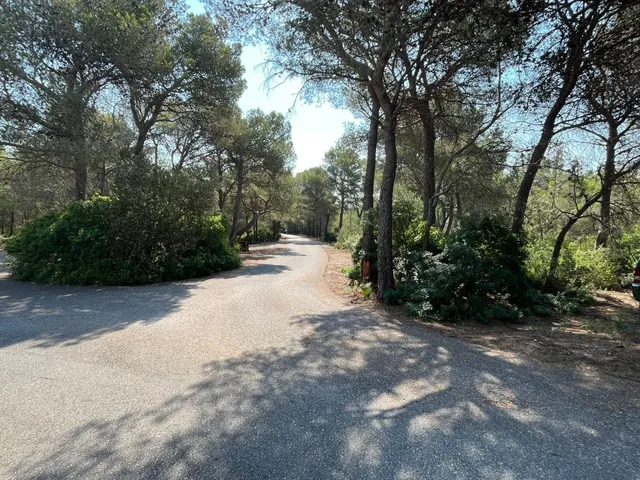Terreno agrario en Mont-roig del camp, con barraca y pozo — 9