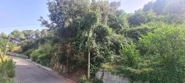 TERRENY EN VENDA A SANT FELIU DEL RACÓ — 7