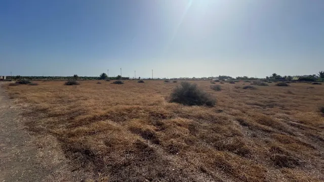 Parcela en la zona de San Juan, Telde. — 3