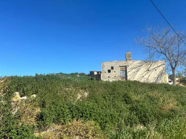 Casa de campo con parcela — 7