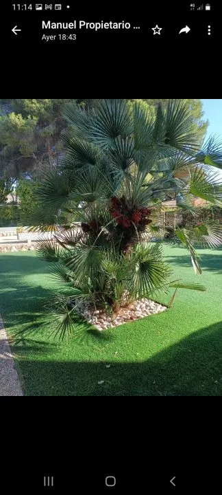 Villa 6 habitaciones 250m² en venta - Aguamarina — 39