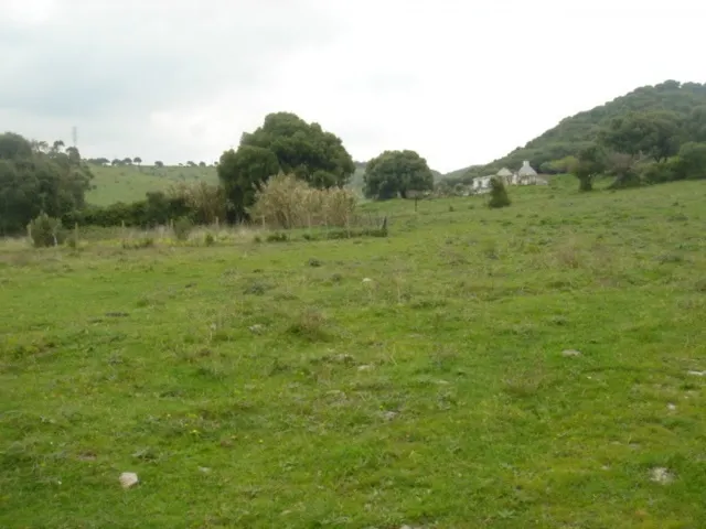 Se vende finca ceca de Tarifa — 9