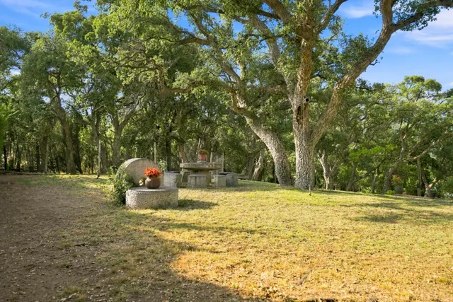 Finca Rustica en venta — 21