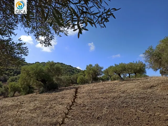 CASA CON PARCELA  EN LA SIERRA DE CADIZ -EL BOSQUE — 30