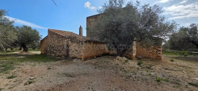 Proyecto rural con masía y licencias en entorno natural priv - foto 2