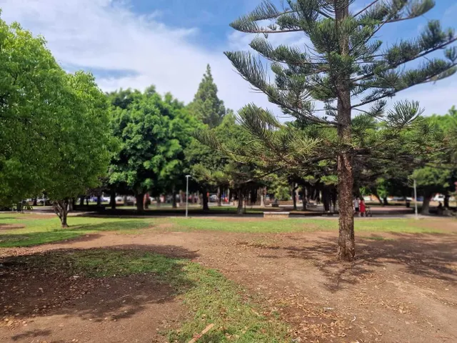 Apartamento 3 habitaciones 110m² en venta - Centro — 8