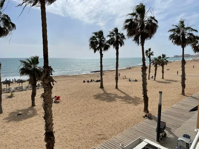 PRIMERA LINEA EN PLAYA LA MATA 3 HABS VISTAS ESPECTACULARES — 31