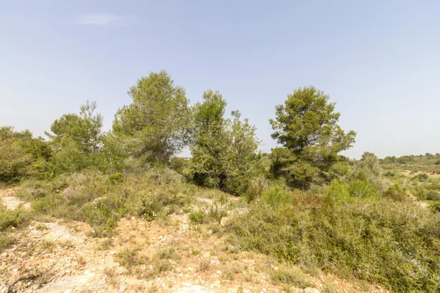 PARCELA ECONÓMICA EN MONSERRAT, EN LA URBANIZACIÓN COLINAS VENTA CABRERA. — 3
