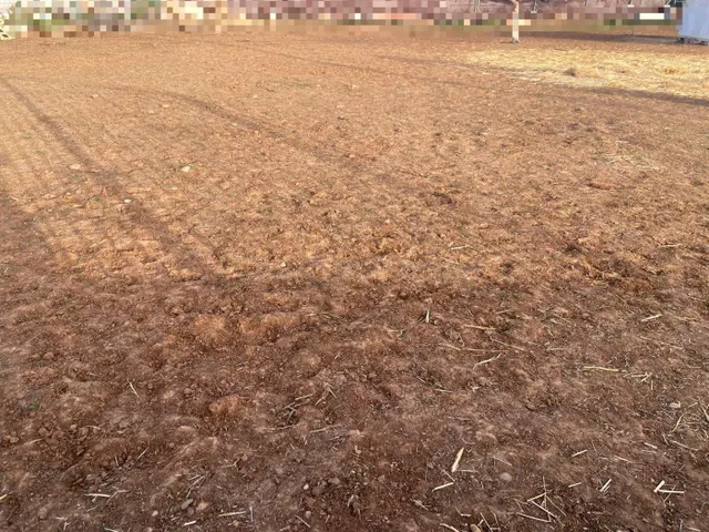 ZONA LAS PITAS - foto 3