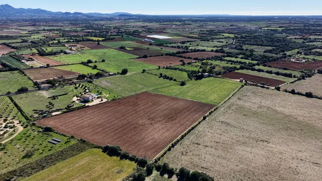 Finca rústica en Manacor con proyecto de ejecución — 19