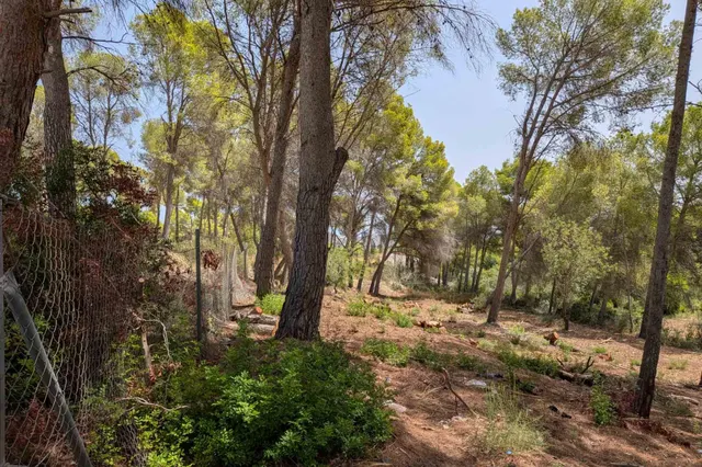 Parcela en venta - Pinar de Advocat-Cometa — 14