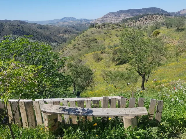 Parcela en venta - Andalucia — 12