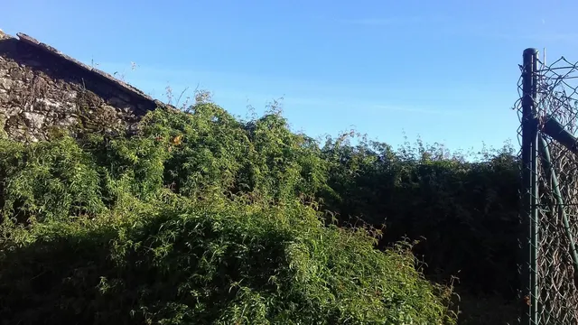 SE VENDE CASA DE PIEDRA PARA REFORMAR EN BUGALLIDO — 7