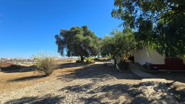 Magnífica casa de campo con piscina y vistas a Moguer, en finca de casi 15.000 m2 — 37