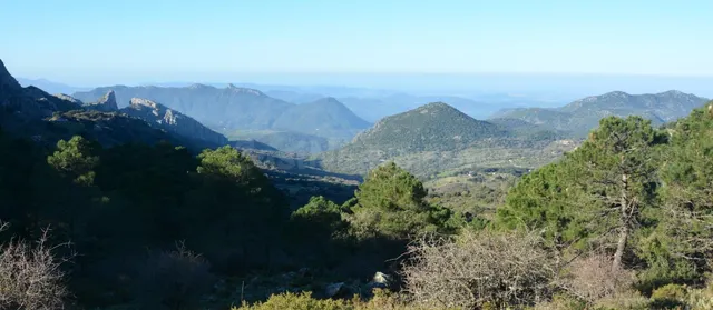 VENTA PARCELA ALREDEDORES DE EL BOSQUE