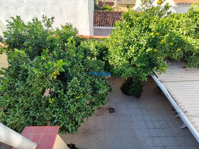 Casa mata en una sola planta con amplio garaje y precioso patio andaluz en el tomillar — 50