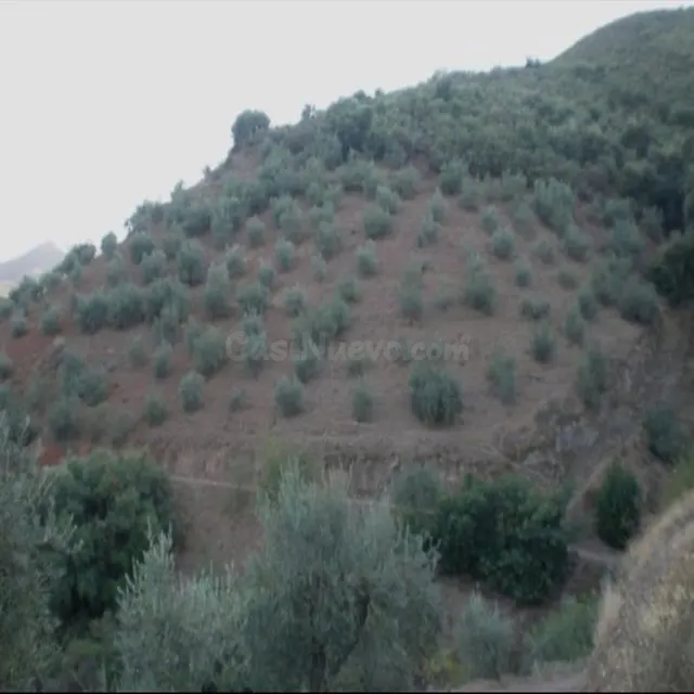 Parcela 40m² en venta - South of spain - foto 5