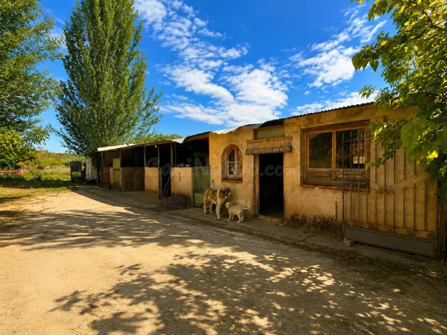 MAGNÍFICA FINCA RÚSTICA CON EDIFICACIÓN EN MONACHIL - foto 2
