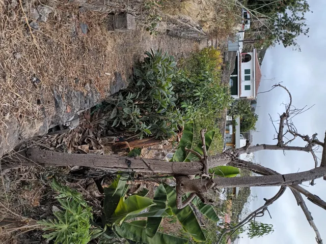 Terreno urbano de 2.500 m2 en Icod de los Vinos | oportunidad para inversores — 42