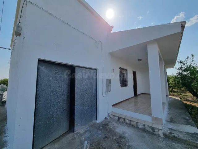 Finca Rústica con Producción de Naranjas en Vinarós - Oportu - foto 2