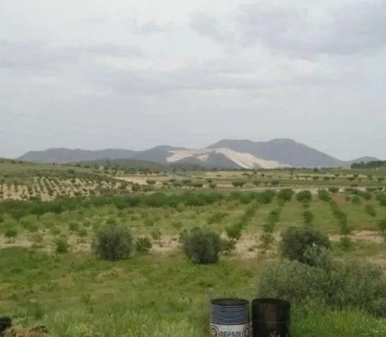 Parcela 171m² en venta - Abanilla — 7