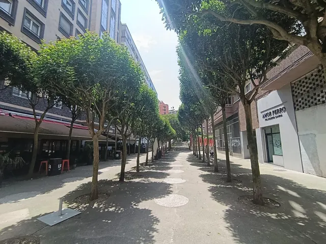 Piso 3 habitaciones 95m² en venta - El Carbayedo - El Quirinal — 19