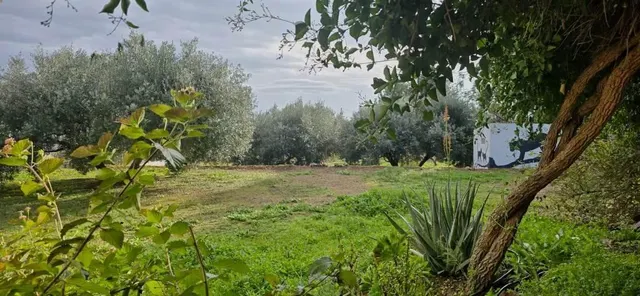 Casa de campo con parcela rústica de 2.600 m2. — 13