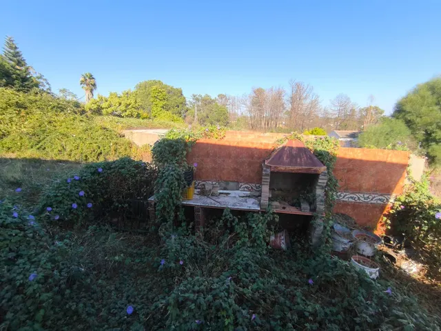 Finca Rústica en Gibraleón en la zona de la calvilla — 22