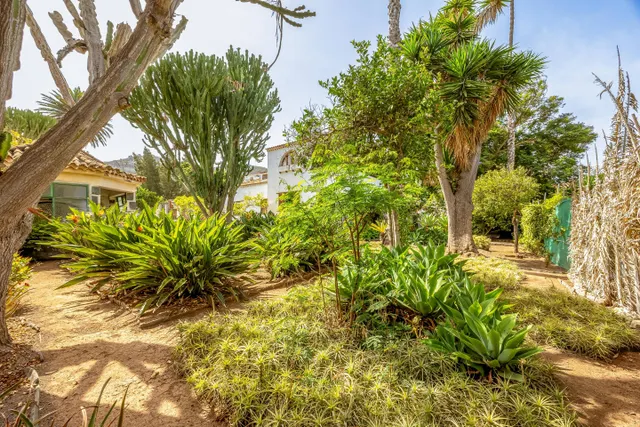 Casa con encanto en tafira, amplia parcela y construcciones auxiliares — 8