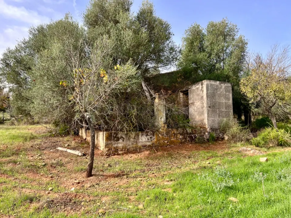 Finca rústica Campanet