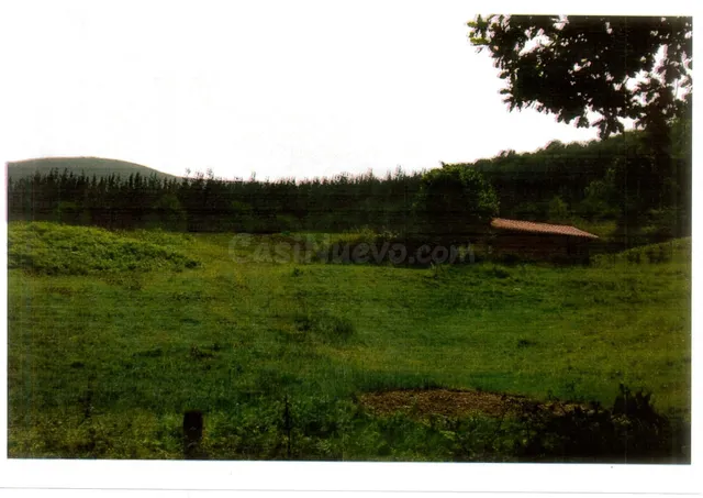 CABAÑA INDEPENDIENTE CON TERRENO EN RUENTE - foto 2