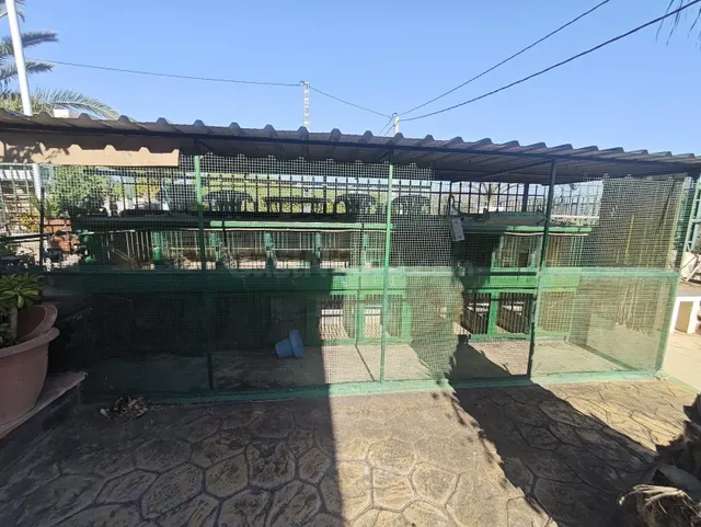 Campo en Sax 14.000 m2 parcela y casa con piscina — 42