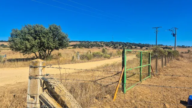 PARCELA VENTA AHIGAL DE LOS ACEITEROS. Urbis te ofrece una p - foto 5