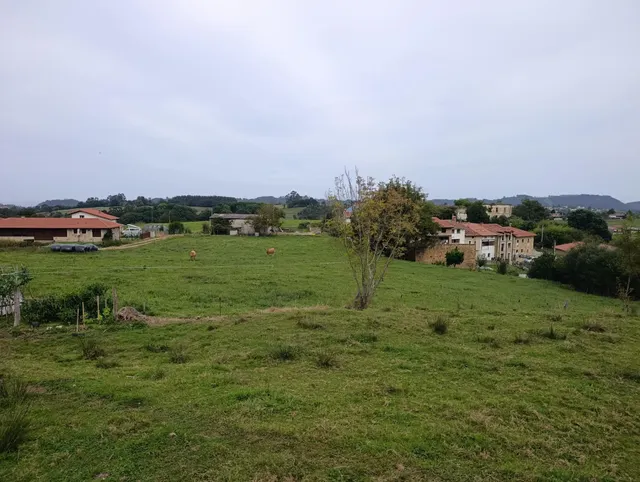 Terreno Rústico en venta - Noriega — 7