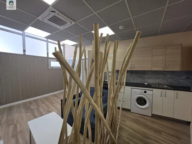 Local estudio nuevo planta calle — 29