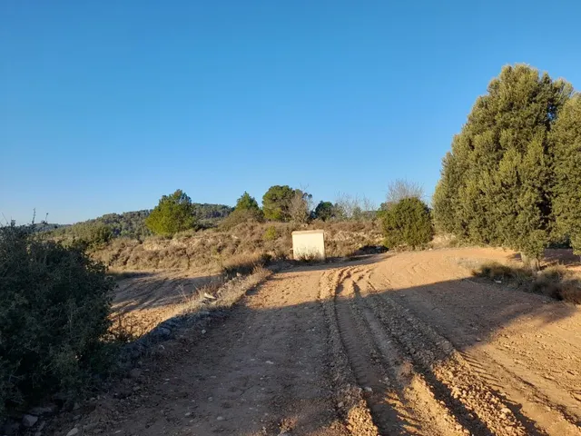OCASION GRAN  FINCA EN PRODUCCION DE 8,4 HAS. EN CORBERA D´EBRE — 15