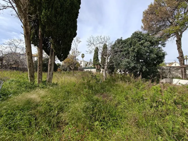 Parcela en venta - Centro - foto 5