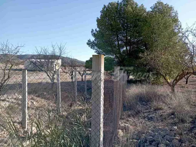 Casa de campo-Masía en Venta en Caudete Albacete - foto 4