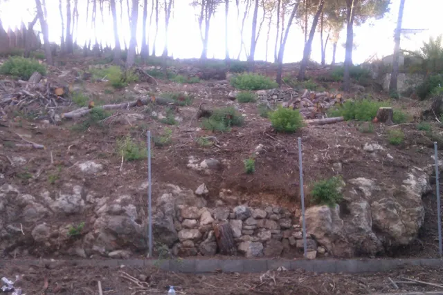 Terreno urbanizable en Can Rovira-Vallirana — 4
