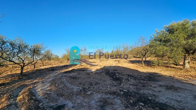 GRAN TERRENO JUNTO A LOS ALTOS DE LAS PALAS – REF. 2112 — 23