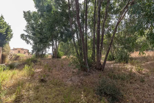 Parcela en venta - Costa del Sol — 7