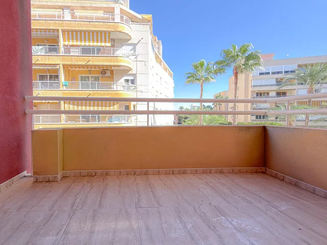 Playa de los locos! Amplio apartamento (2007) con gran terraza y vistas al Palmeral (220 mts playa) — 7