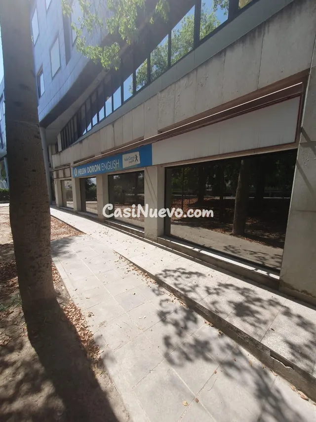 Oficinas en subarrriendo – 65 m2 con luz natural y despachos