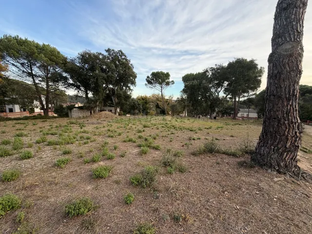 Terreno de 667 m2 en venta – Urbanización Sant Roc, Massanes - foto 2