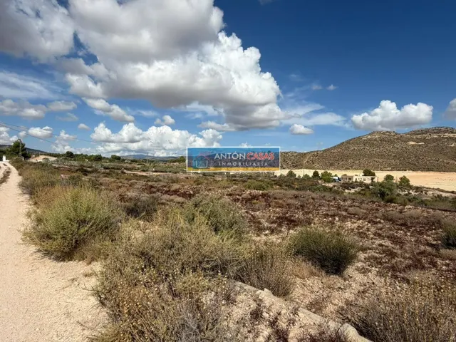 TERRENO EDIFICABLE EN PARTIDA FUENTE LA REINA – NOVELDA - foto 5